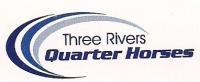 Three Rivers Performance Horses
