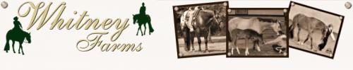 Whitney Farms