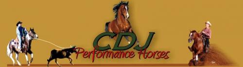 CDJ Performance Horses