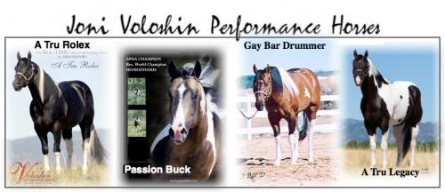 Joni Voloshin Performance Horses