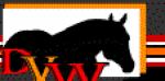 DVW Quarter Horses & Pain