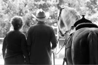 LETHAM STABLES