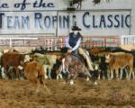Three Rivers Performance Horses
