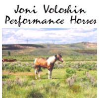 Joni Voloshin Performance Horses