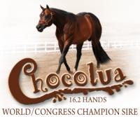 Montlake Farms Home of Chocolua