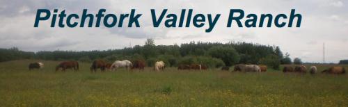 Pitchfork Valley Ranch
