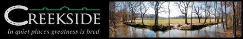 CREEKSIDE REINING HORSES