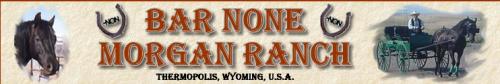BAR NONE MORGAN RANCH