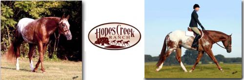 HOPES CREEK RANCH