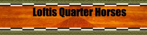 Loftis Quarter Horses