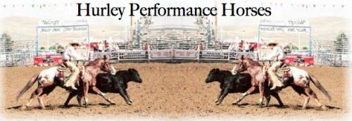 Hurley Performance Horses