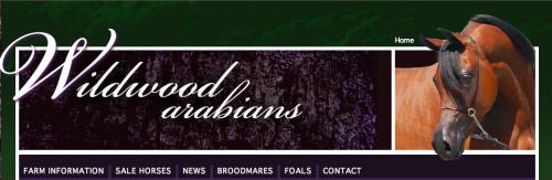 WILDWOOD ARABIANS