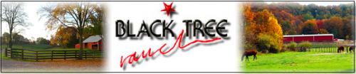 Black Tree Ranch