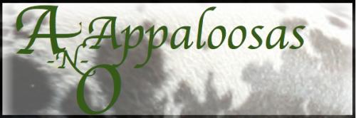 A & O Appaloosas