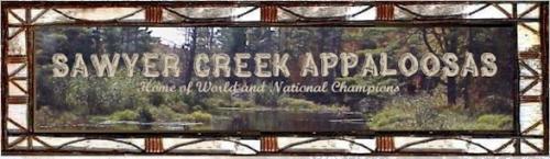 Sawyer Creek Appaloosas