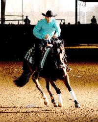 CDJ Performance Horses