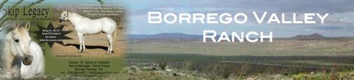 Borrego Valley Ranch