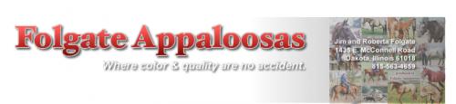 Folgate Appaloosas