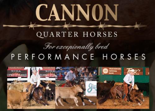 Cannon Quarter Horses