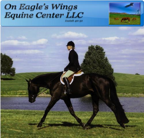 On Eagle's Wings Equine Center