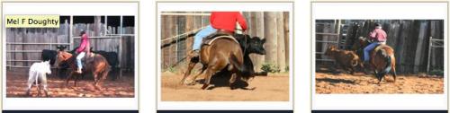 WINDING CREEK RANCH