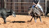 WINDING CREEK RANCH