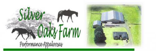  Silver Oaks Farm