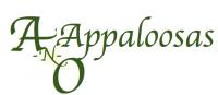 A & O Appaloosas