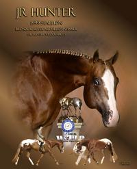Michael Patterson Show Horses Inc.