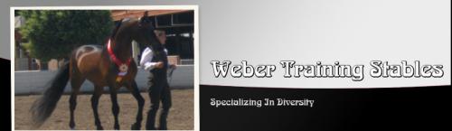 Weber Training Stables