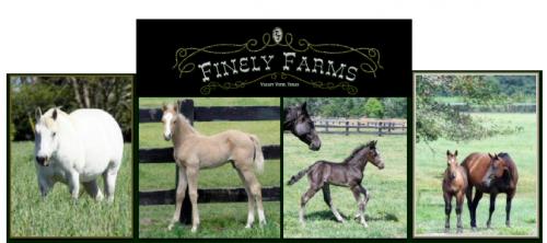 FINELY FARMS