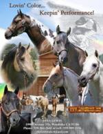THE LEWIS RANCH STALLION STATION