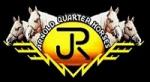Arnold Quarter Horses