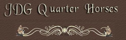JDG QUARTER HORSES