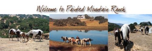 PAINTED MOUNTAIN RANCH