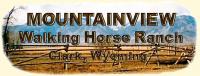 Mountain View Walking Horses