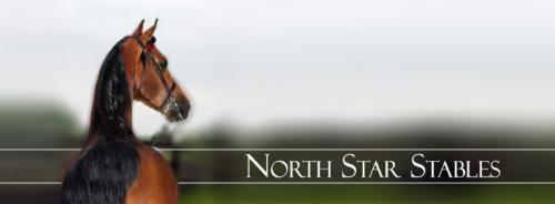 North Star Stables