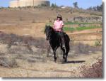 Rancho De Los Cielos
