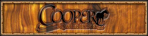 COOPER QUARTER HORSES