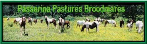 Passerina Pastures 