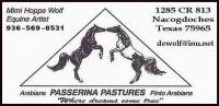 Passerina Pastures 