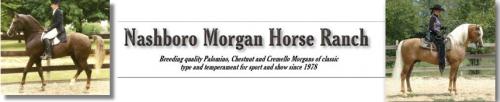 NASHBORO MORGANS