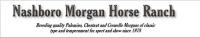 NASHBORO MORGANS