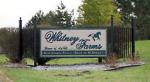 Whitney Farms