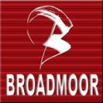 Broadmoor Morgans
