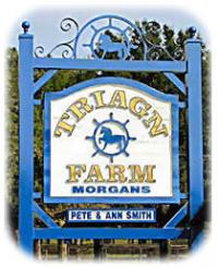 Triagn Farm Morgans