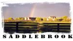 Saddlebrook Appaloosas