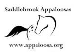 Saddlebrook Appaloosas
