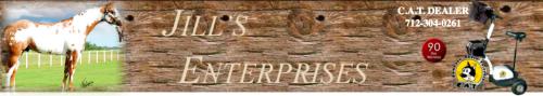 Jills Enterprises