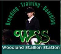 WOODLAND STALLION STATION